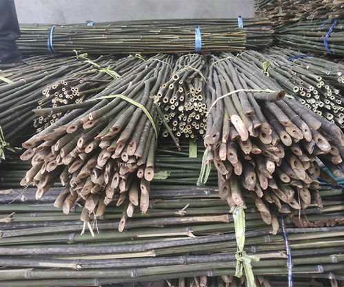 新疆菜架竹 菜架竹公司 興榮竹木制品 推薦商家